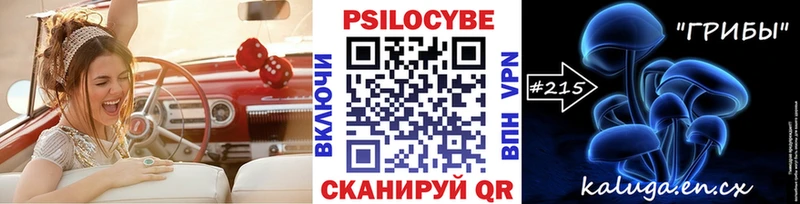 Купить где  Дно  Галлюциногенные грибы MAGIC MUSHROOMS 