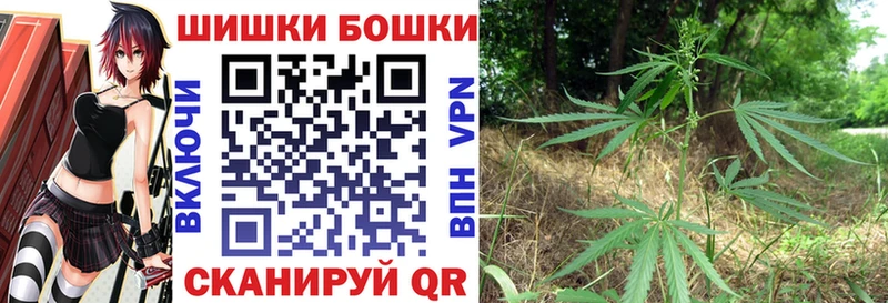 Бошки Шишки планчик  Купить закладки  Дно 